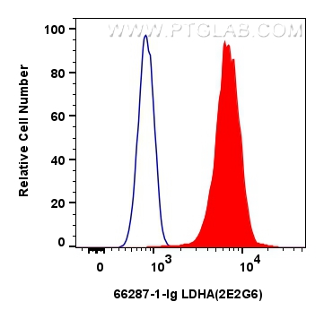 FC experiment of HepG2 using 66287-1-Ig