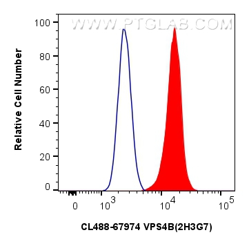 FC experiment of HeLa using CL488-67974