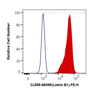 FC experiment of HeLa using CL555-66095