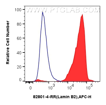 FC experiment of HepG2 using 82801-4-RR (same clone as 82801-4-PBS)