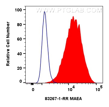 FC experiment of U-251 using 83267-1-RR