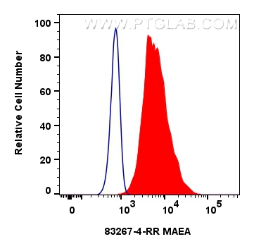 FC experiment of HeLa using 83267-4-RR (same clone as 83267-4-PBS)