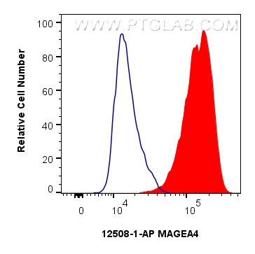 FC experiment of A431 using 12508-1-AP