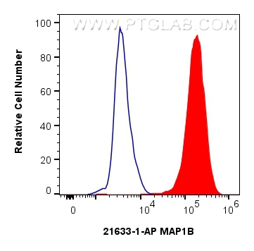 FC experiment of SH-SY5Y using 21633-1-AP