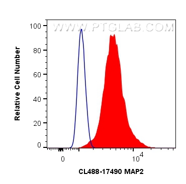 FC experiment of Neuro-2a using CL488-17490