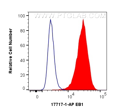 FC experiment of HeLa using 17717-1-AP