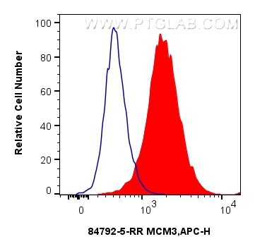 FC experiment of HeLa using 84792-5-RR (same clone as 84792-5-PBS)