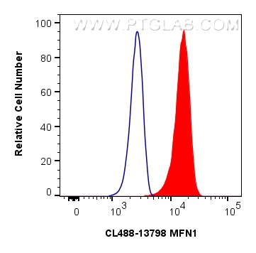 FC experiment of HEK-293 using CL488-13798