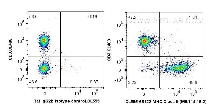 FC experiment of mouse splenocytes using CL555-65122