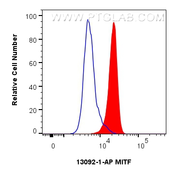 FC experiment of HeLa using 13092-1-AP