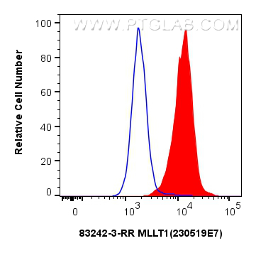 FC experiment of HeLa using 83242-3-RR (same clone as 83242-3-PBS)