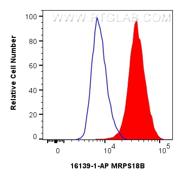 FC experiment of A549 using 16139-1-AP