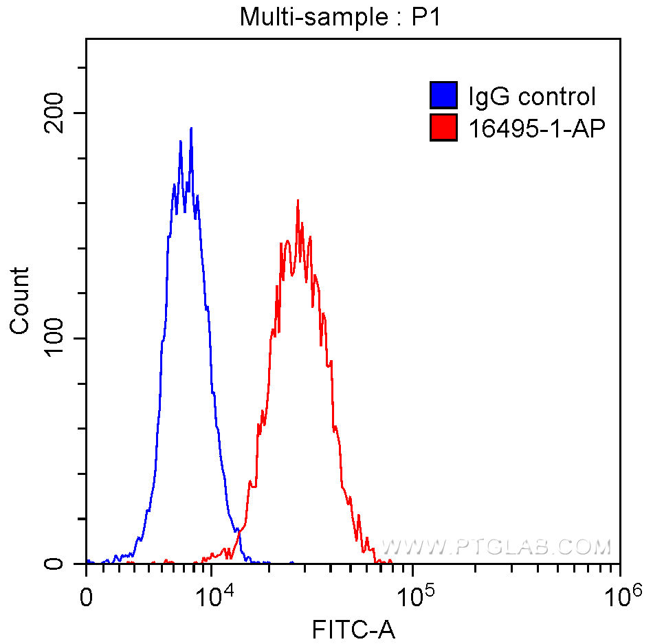 FC experiment of HepG2 using 16495-1-AP