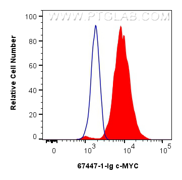 FC experiment of NCCIT using 67447-1-Ig