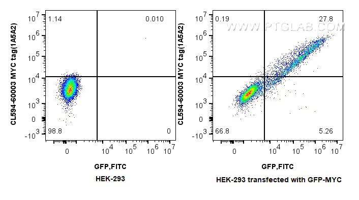 FC experiment of HEK-293  transfected with GFP-MYC using CL594-60003