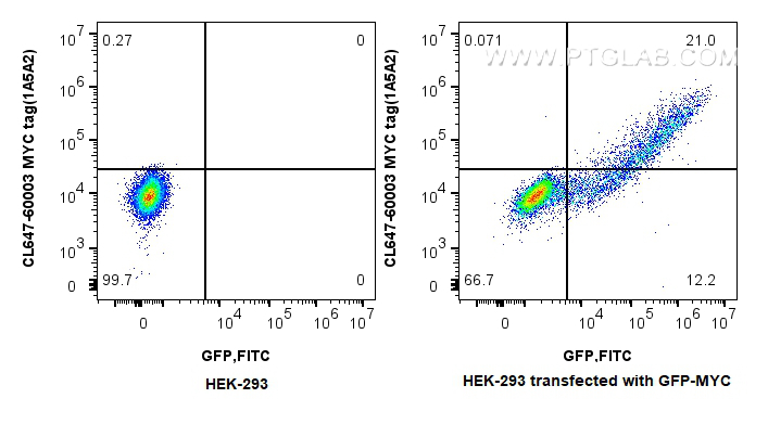 FC experiment of HEK-293  transfected with GFP-MYC using CL647-60003