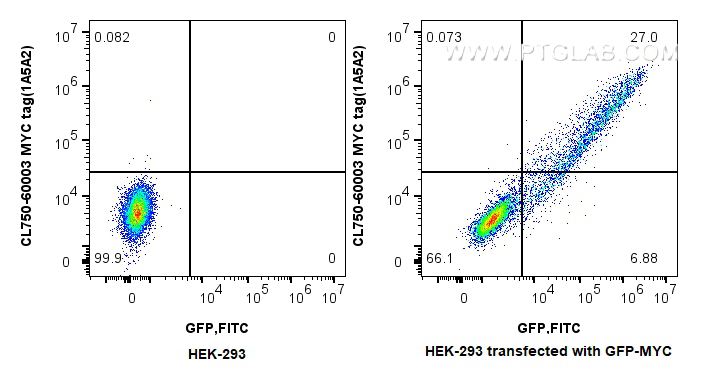 FC experiment of HEK-293  transfected with GFP-MYC using CL750-60003