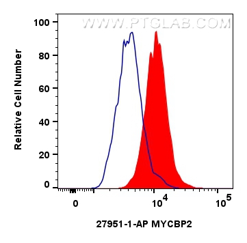 FC experiment of U2OS using 27951-1-AP