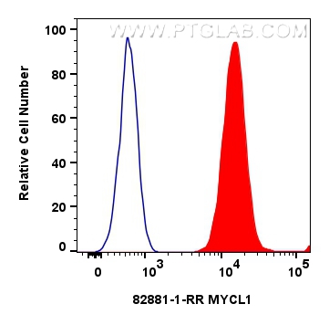 FC experiment of HeLa using 82881-1-RR (same clone as 82881-1-PBS)