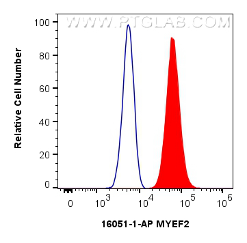 FC experiment of C6 using 16051-1-AP