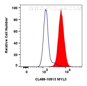 FC experiment of C2C12 using CL488-10913