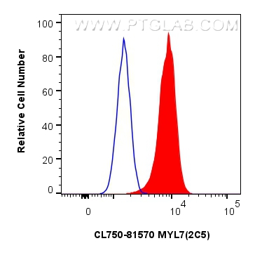 FC experiment of C2C12 using CL750-81570