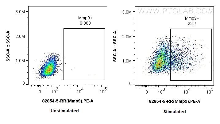 FC experiment of RAW 264.7 using 82854-5-RR (same clone as 82854-5-PBS)