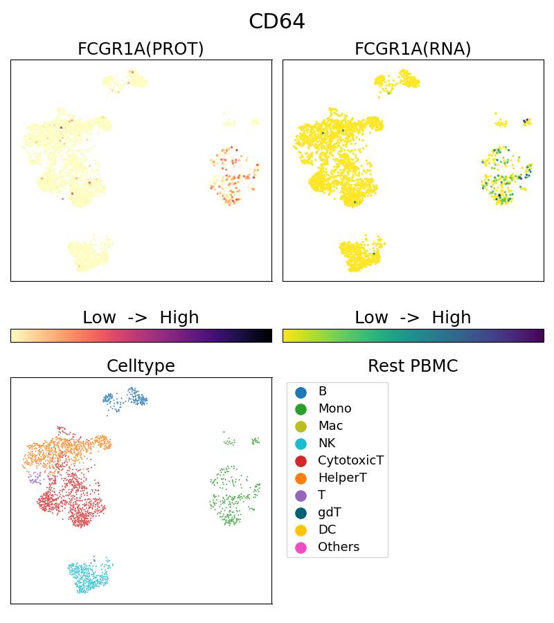 Single Cell Sequencing experiment G65253-1-5C on Resting PBMC