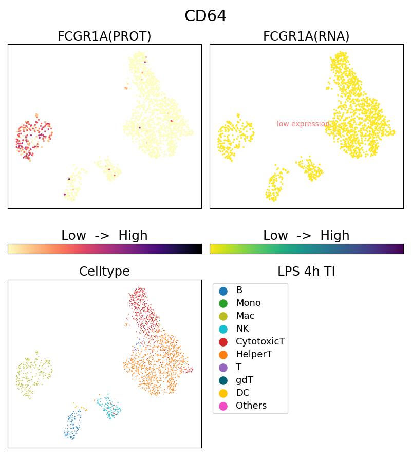 Single Cell Sequencing experiment G65253-1-5C on PBMC treated with 4hr LPS + TI