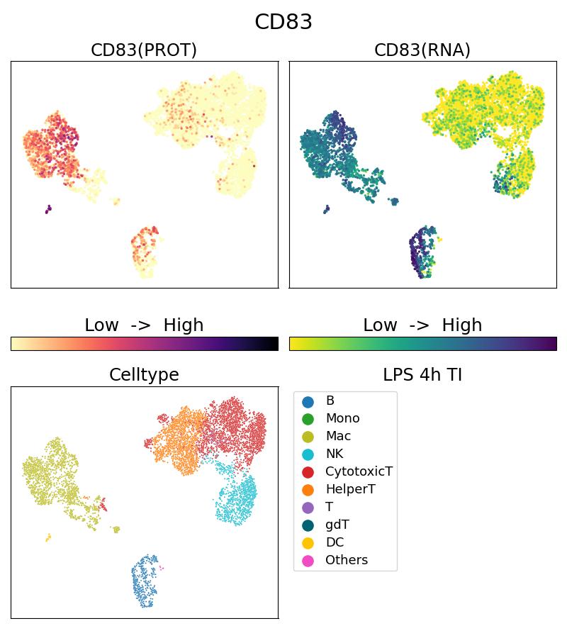 Single Cell Sequencing experiment G65171-1-5C on PBMC treated with 4hr LPS + TI