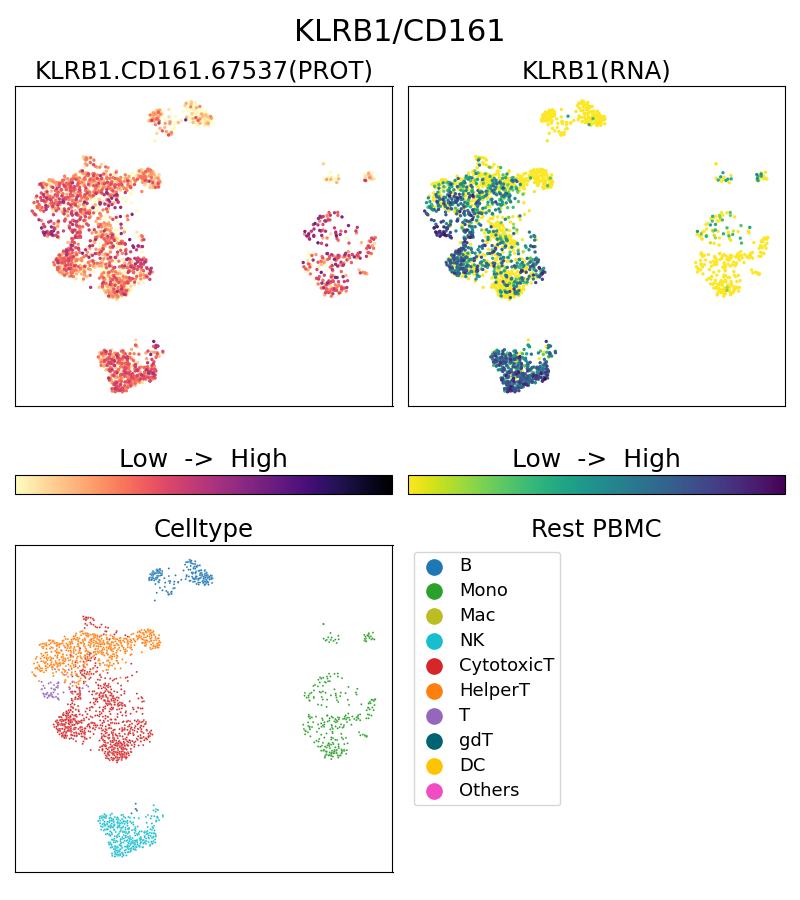 Single Cell Sequencing experiment G67537-1-5C on Resting PBMC