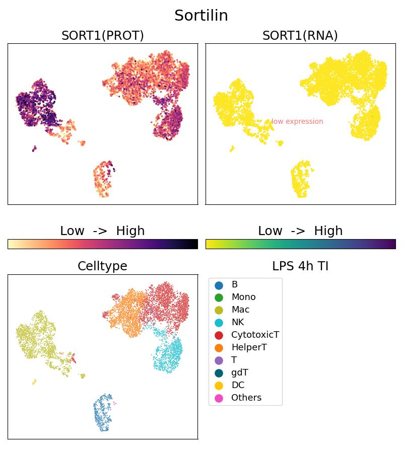 Single Cell Sequencing experiment G68007-1-5C on PBMC treated with 4hr LPS + TI