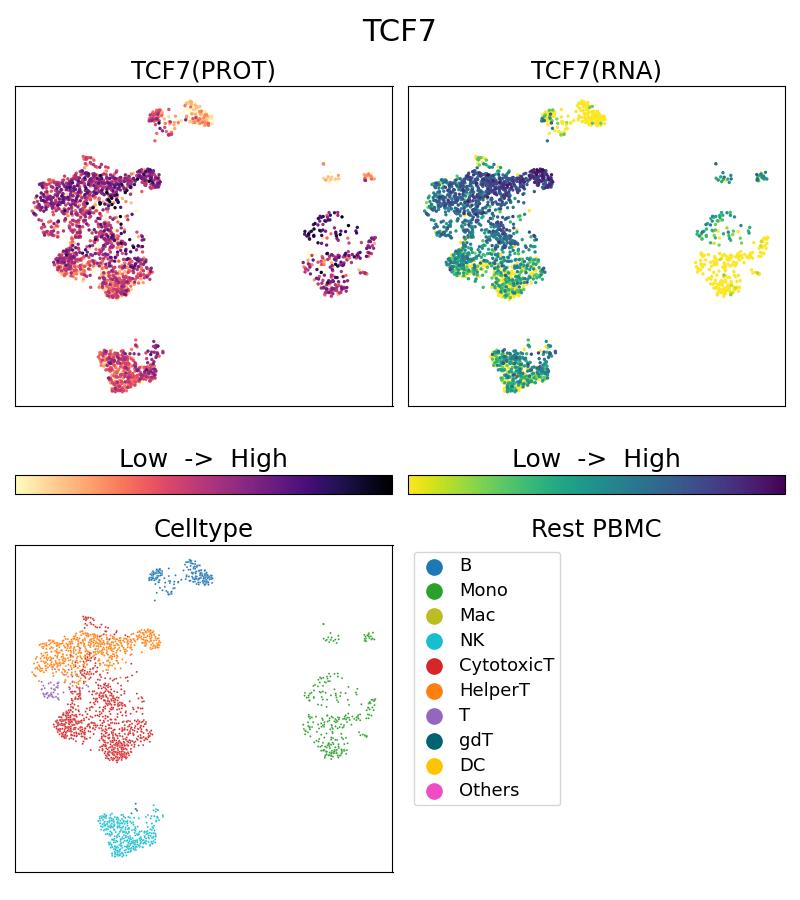 Single Cell Sequencing experiment G14464-1-5C on Resting PBMC