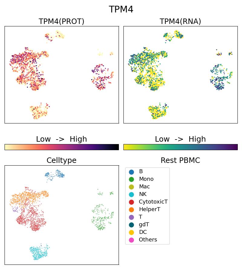 Single Cell Sequencing experiment G67244-1-5C on Resting PBMC