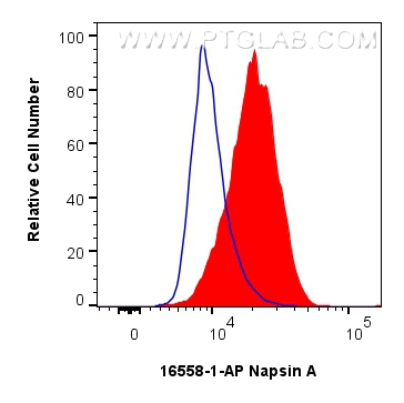 FC experiment of A549 using 16558-1-AP