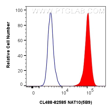 FC experiment of HeLa using CL488-82585