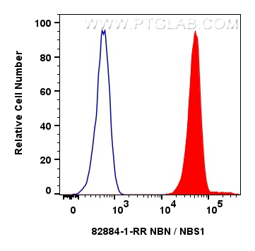 NBN / NBS1