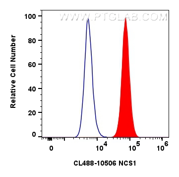 FC experiment of SH-SY5Y using CL488-10506