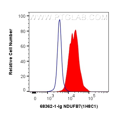 FC experiment of HEK-293 using 68362-1-Ig