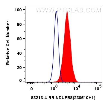 FC experiment of HeLa using 83216-4-RR
