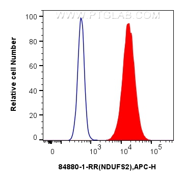 FC experiment of HepG2 using 84880-1-RR (same clone as 84880-1-PBS)