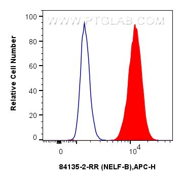 FC experiment of A431 using 84135-2-RR