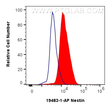 FC experiment of SH-SY5Y using 19483-1-AP