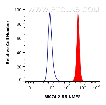 FC experiment of HEK-293T using 85074-2-RR