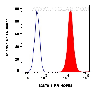 FC experiment of HeLa using 82879-1-RR (same clone as 82879-1-PBS)