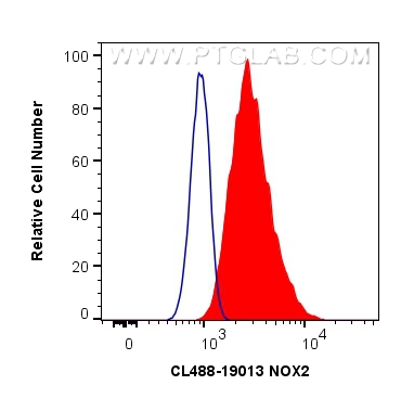 FC experiment of RAW 264.7 using CL488-19013