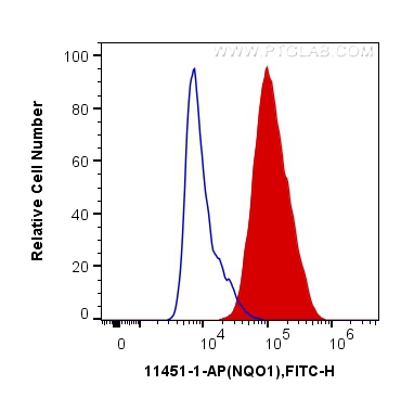 FC experiment of MCF-7 using 11451-1-AP