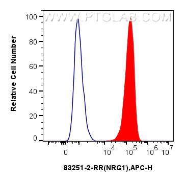 NRG1, isoform Alpha