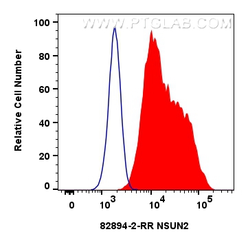 FC experiment of HeLa using 82894-2-RR (same clone as 82894-2-PBS)