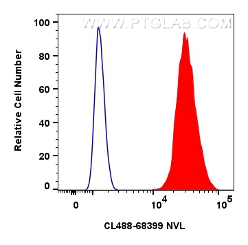 FC experiment of HeLa using CL488-68399